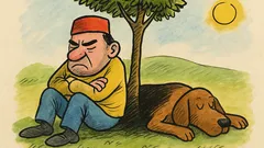 Vic: Zakaj Črnogorec sovraži psa?