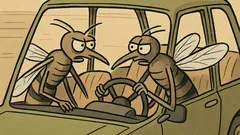 Vic: V sabor prideta dva lačna komarja…